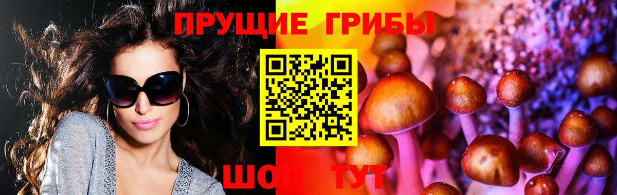 Луховицы  Галлюциногенные грибы мухоморы  Вход с VPN 